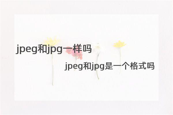jpeg和jpg一样吗 jpeg和jpg是一个格式吗