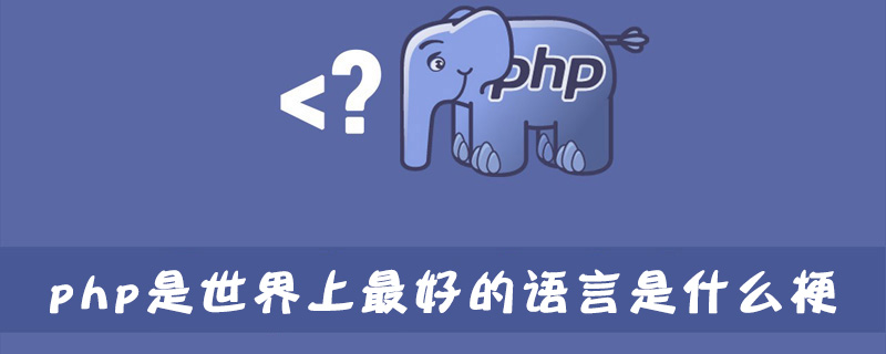 php是世界上最好的语言是什么梗 为什么说php是世界最好语言