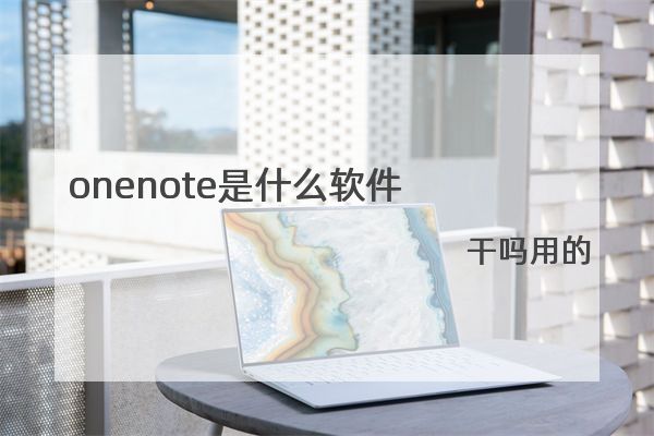 onenote是什么软件 干吗用的