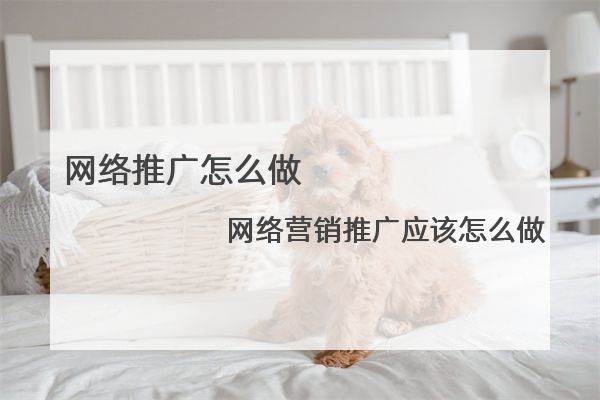 网络推广怎么做，网络营销推广应该怎么做
