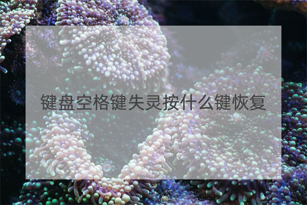 键盘空格键失灵按什么键恢复