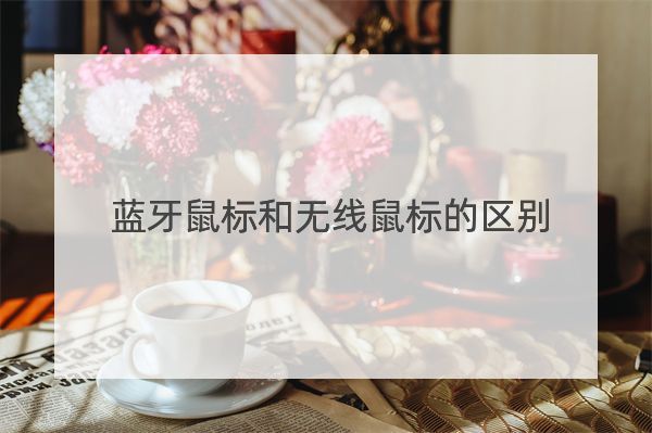 蓝牙鼠标和无线鼠标的区别
