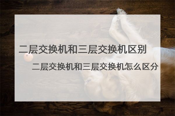 二层交换机和三层交换机区别 怎么区分