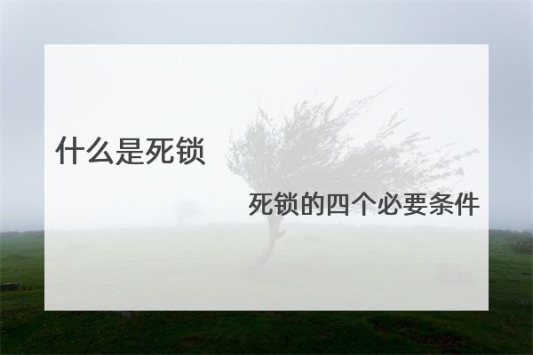 什么是死锁？死锁的四个必要条件