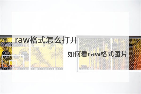 raw格式怎么打开 如何看raw格式图片