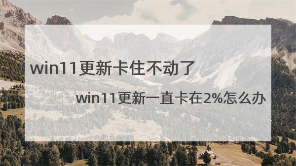 win11更新卡住不动了?win11更新一直卡在2%怎么办